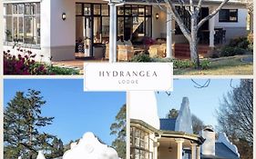 Hydrangea Guest House
